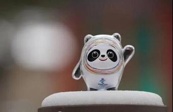 “冰墩墩”、、、“雪容融”商标也抢手，，，已被成功注册！！！